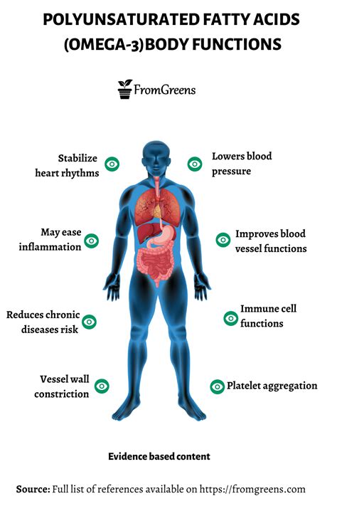 omega 3 function in the body